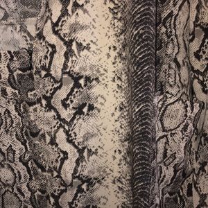 Dynamite Dresses - Snake skin fabric blazer dress Dynamite Dresses - Snake skin fabric blazer dress